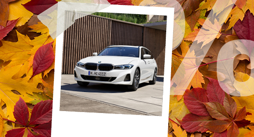 Ein Werbebanner im Herbst-Design auf einem Hintergrund aus buntem Herbstlaub in Gelb- und Rottönen. In der Mitte befindet sich ein mit Klebestreifen befestigtes Sofortbild (Polaroid), das einen silbergrauen BMW auf einer Straße bei sonnigem Wetter zeigt. Auf der rechten Seite liegt ein großes, halbtransparentes weißes Prozentzeichen (%) über den Blättern.