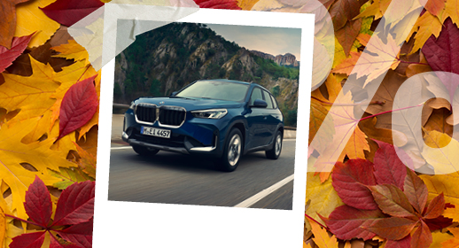 Ein Werbebanner im Herbst-Design auf einem Hintergrund aus buntem Herbstlaub in Gelb- und Rottönen. In der Mitte befindet sich ein mit Klebestreifen befestigtes Sofortbild (Polaroid), das einen silbergrauen BMW auf einer Straße bei sonnigem Wetter zeigt. Auf der rechten Seite liegt ein großes, halbtransparentes weißes Prozentzeichen (%) über den Blättern.