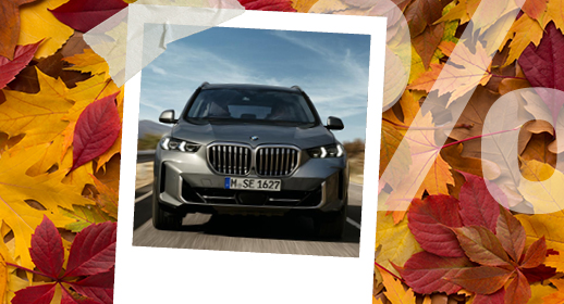 Ein Werbebanner im Herbst-Design auf einem Hintergrund aus buntem Herbstlaub in Gelb- und Rottönen. In der Mitte befindet sich ein mit Klebestreifen befestigtes Sofortbild (Polaroid), das einen silbergrauen BMW auf einer Straße bei sonnigem Wetter zeigt. Auf der rechten Seite liegt ein großes, halbtransparentes weißes Prozentzeichen (%) über den Blättern.